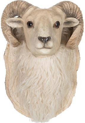 J-Line decoratie Geit Kop Hangend polyresin beige small