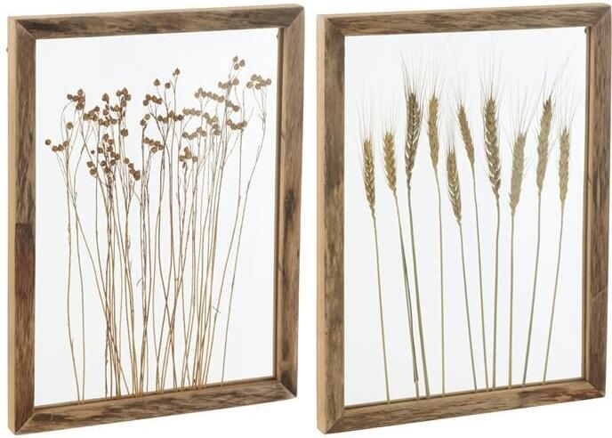 J-Line wanddecoratie Graan dennenhout|glas transparant|bruin 2 stuks