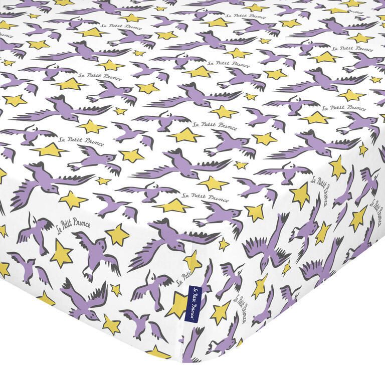 Le Petit Prince Hoeslaken Ses Amis