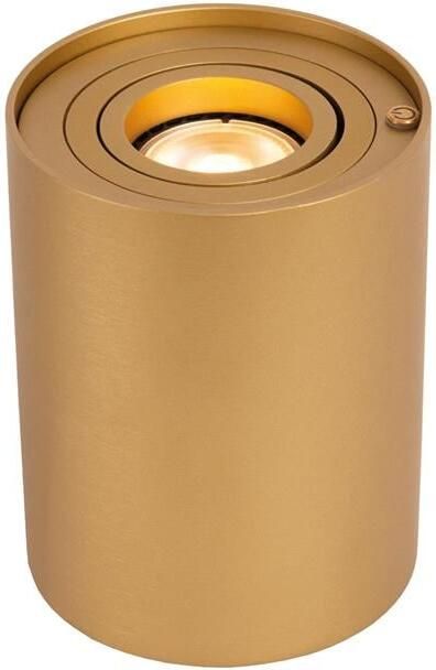 Lucide TUBE Tafellamp Mat Goud | Messing