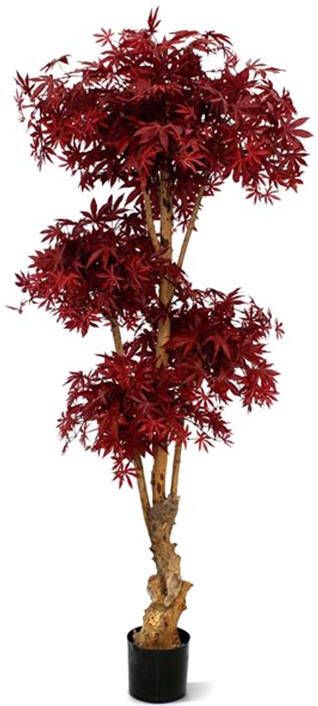 Maxi Fleur kunstplanten Acer Bonsai deluxe kunstboom 170cm burgundy