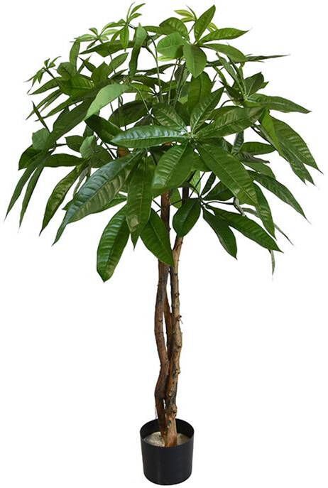 Maxi Fleur kunstplanten Pachira bal kunstplant op stam 75cm