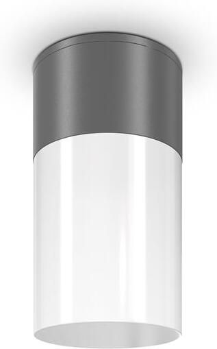 Maytoni Outdoor Plafondlamp Willis Grafiet Ø8