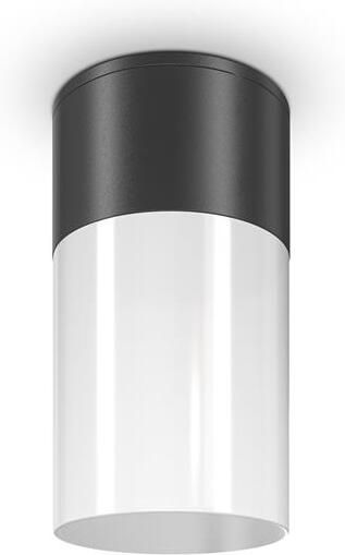 Maytoni Outdoor Plafondlamp Willis Zwart Ø8