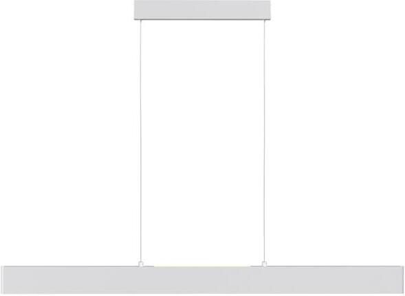 Maytoni Technical Hanglamp Step Wit