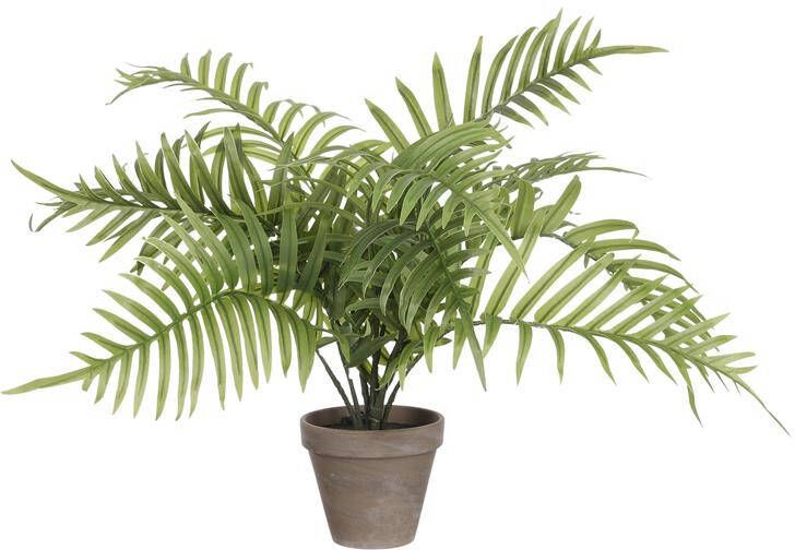 Mica Decorations Areca Palm Kunstplant H53 x Ø45 cm Groen