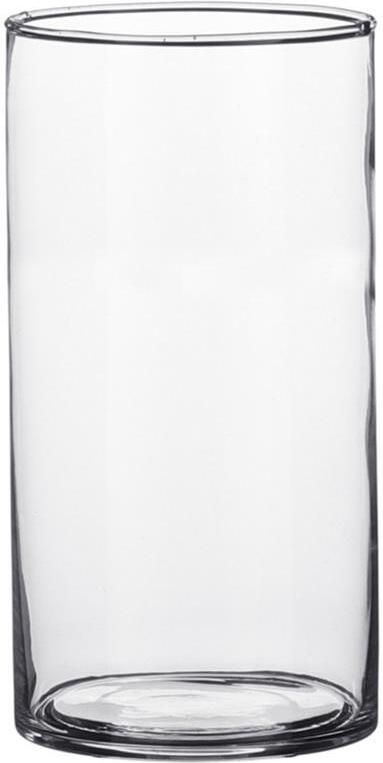 Mica Decorations Vaas cilinder glas 9 x 15 cm Bloemenvaas