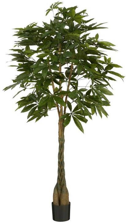 Mica Decorations Pachira Kunstplant 65x65x150 cm Polyester Groen