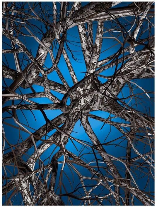 Moooi Carpets Liquid Birch vloerkleed 200x300