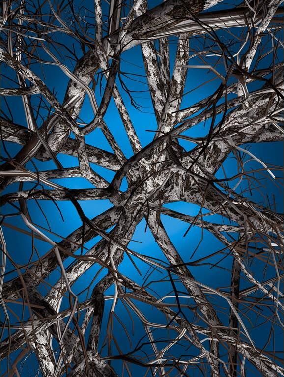 Moooi Carpets Liquid Birch vloerkleed 300x400