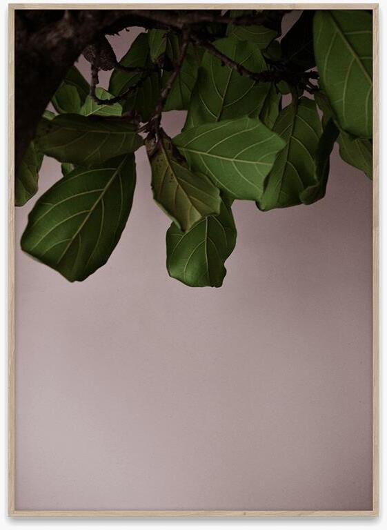 Paper collective Poster Norm Architects Green Leaves 30x40