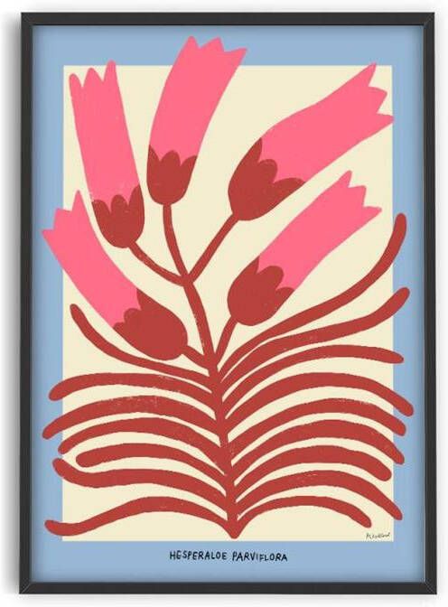 PSTR studio Madelen Hesperaloe Parviflora