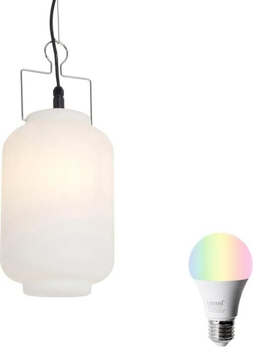 QAZQA Smart buiten hanglamp wit 20cm incl. Wifi A60 Pion