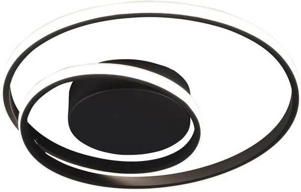 WAYS Reality plafondlamp Zibal 7 x 39 cm staal zwart - Foto 2