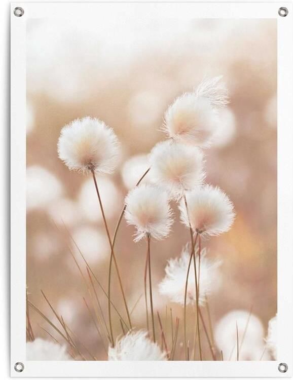 Reinders Cotton Field Tuinposter 80x60cm