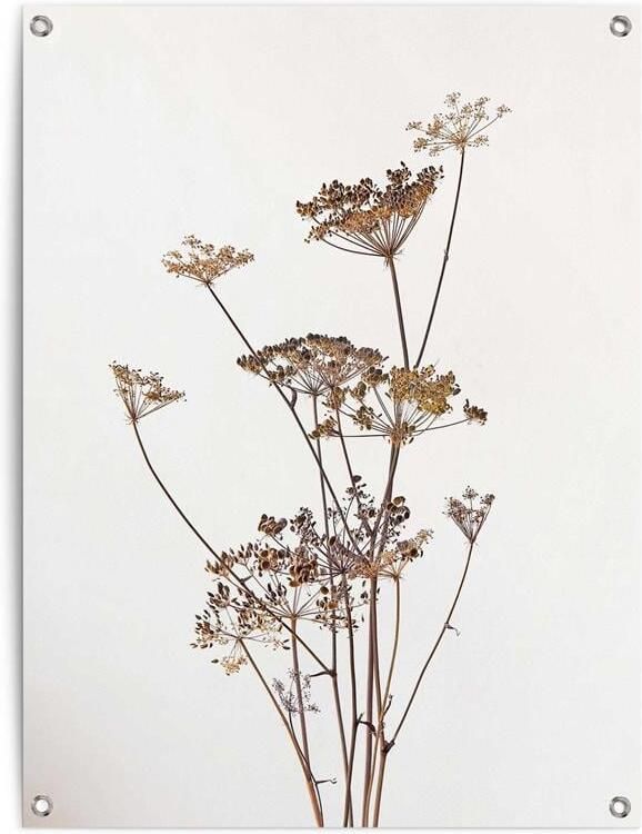 Reinders Fashion Flower Tuinposter 80x60cm