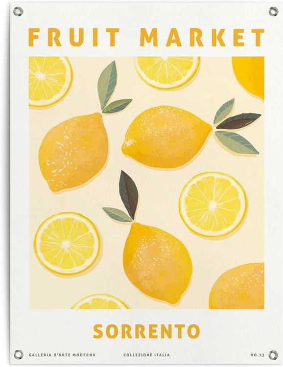 Reinders! Poster Citroenen Outdoor voor tuin of balkon - Foto 4