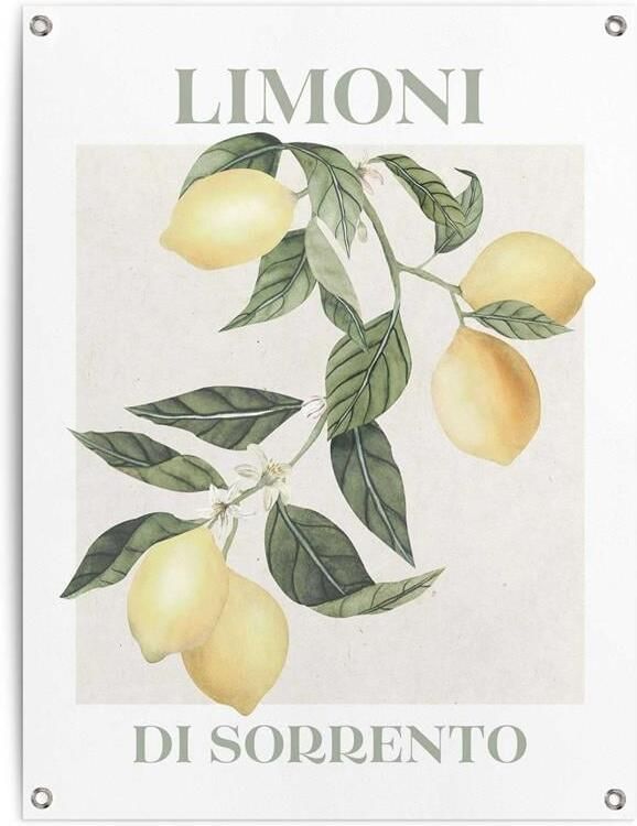 Reinders Limoni Tuinposter 80x60cm