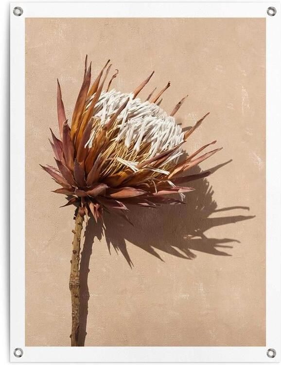 Reinders Shadow Still Tuinposter 80x60cm