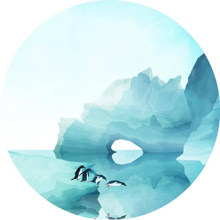 Seemly | Penguins Muurcirkel