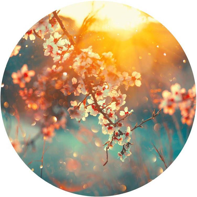 Seemly | Spring Blossom Muurcirkel