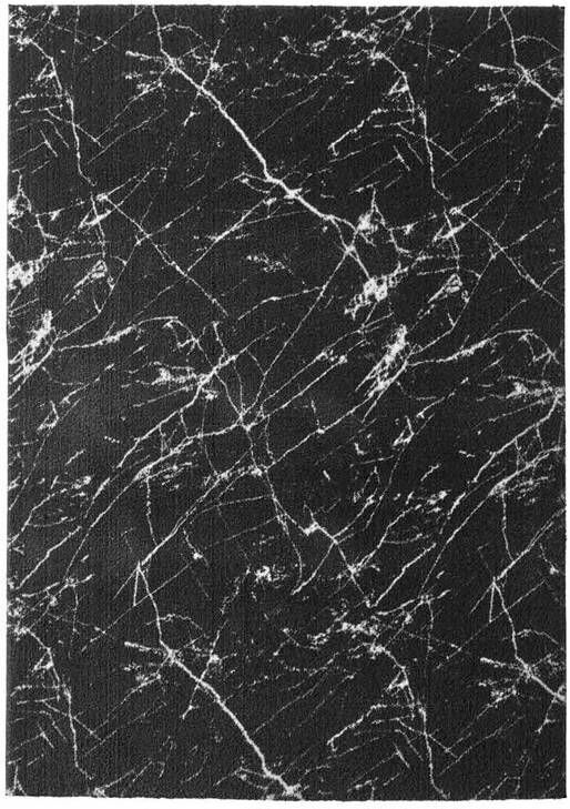 Tapeso Wasbaar vloerkleed Marmer Chloé zwart|wit 160x230 cm