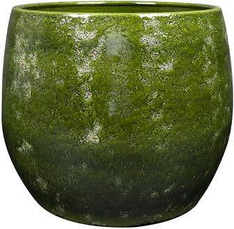 Ter Steege Bloempot Groen D 33 cm H 28 cm - Foto 1