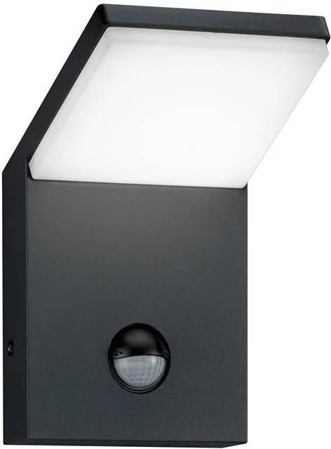 Reality Buitenverlichting Wandlamp Pearl II - Foto 2