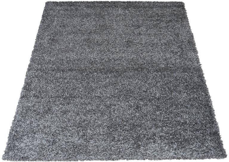 Veer Carpets Vloerkleed Buddy Antraciet 240 x 340 cm