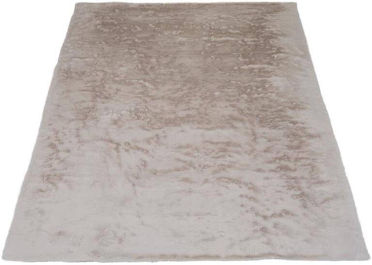 Veer Carpets Vloerkleed Gentle Beige 70 140 x 200 cm