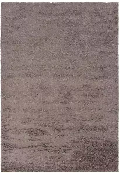 Vercai Rugs Parma Collectie Hoogpolig Vloerkleed Shaggy Tapijt voor Woonkamer Polyester Taupe 120x170 cm