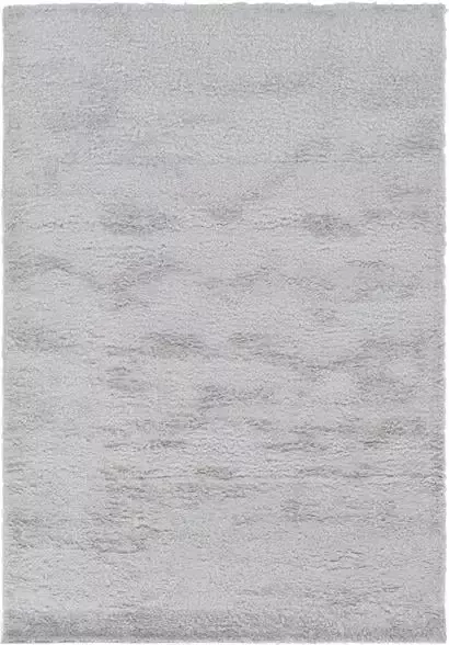 Vercai Rugs Parma Collectie Hoogpolig Vloerkleed Shaggy Tapijt voor Woonkamer Polyester Zilver 80x150 cm