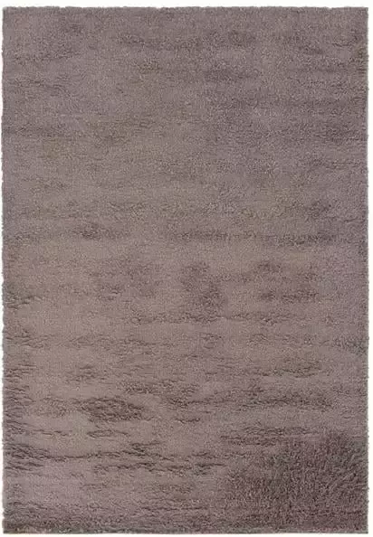 Vercai Rugs Parma Collectie Hoogpolig Vloerkleed Shaggy Tapijt voor Woonkamer Polyester Taupe 160x230 cm - Foto 3