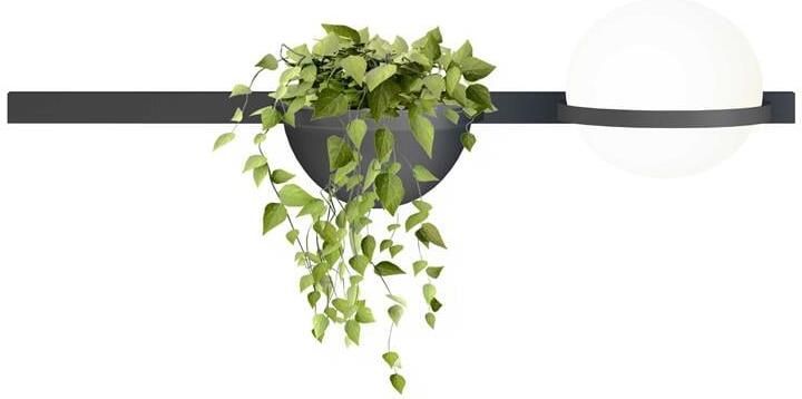 Vibia Palma 3702 wandlamp LED met plantenbak grafiet