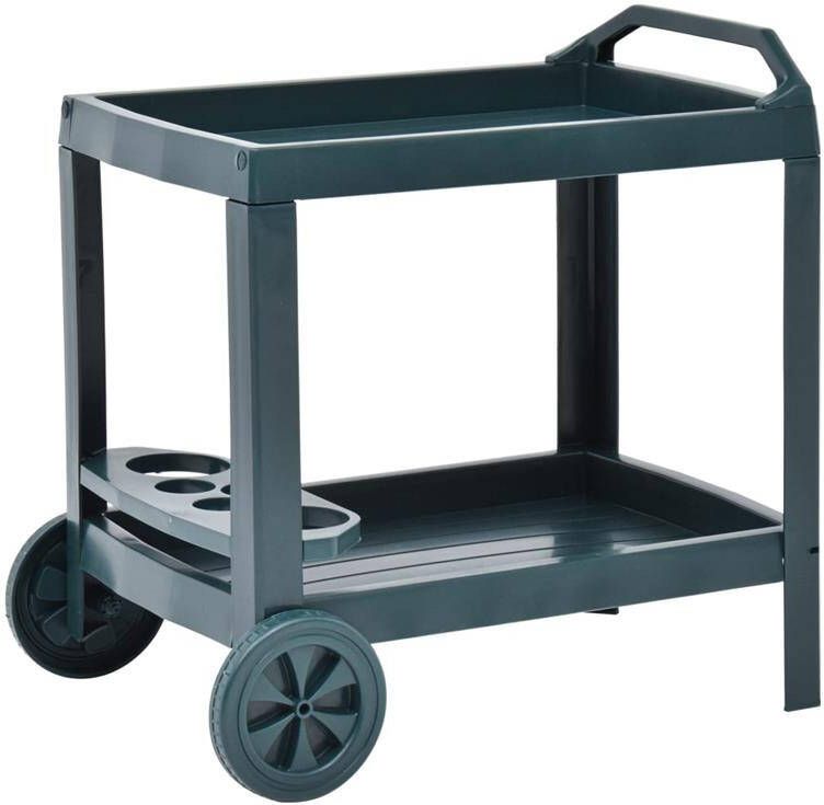 VIDAXL Dranktrolley 69x53x72 cm kunststof groen