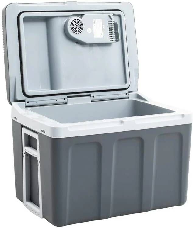 VidaXL Draagbare koelbox