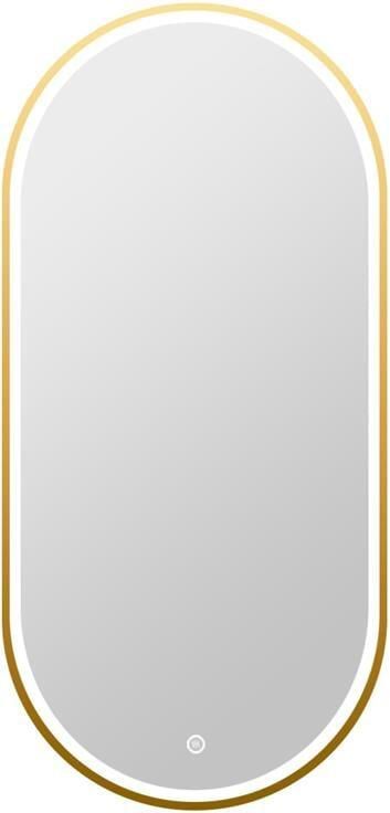 Vtw Living Badkamerspiegel Ovaal met Verlichting 50 x 100 cm Goud