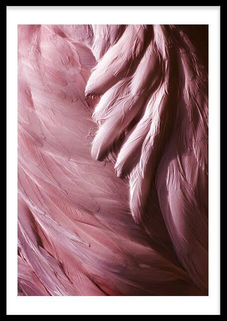Wallified Flamingo Feathers Poster Natuur Landschap
