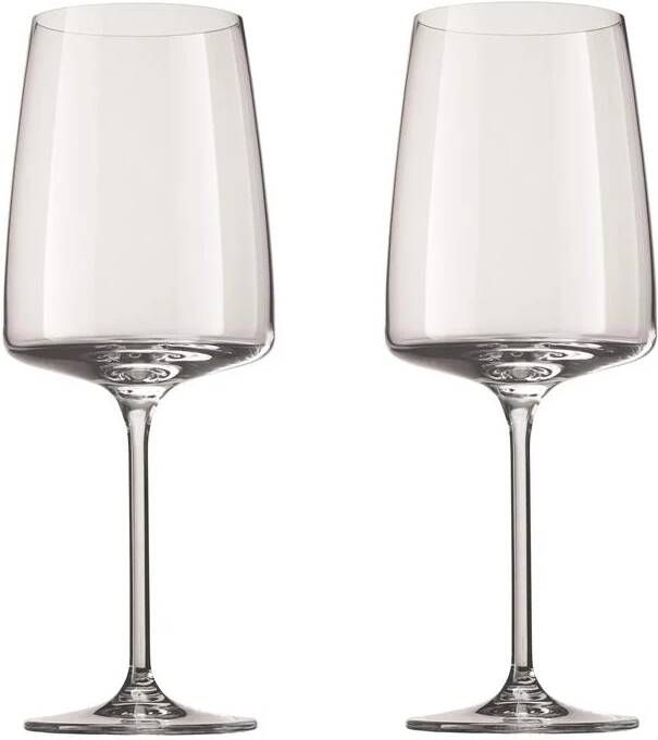 Zwiesel Glas Vivid Senses Flavour & Spicy Wijnglazen 2 st. 0 66 L