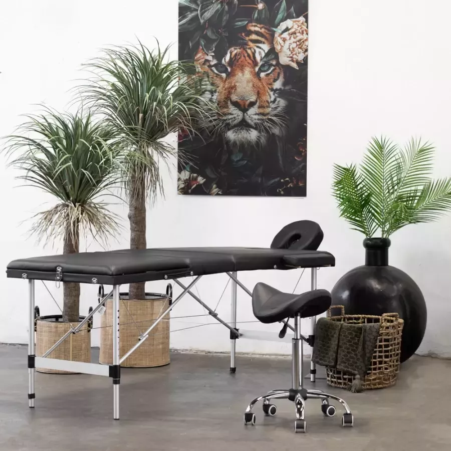 Giga Meubel Massagetafel Roger Aluminium