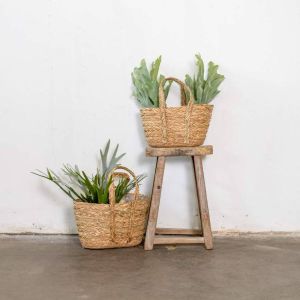 Het Mandenhuys Plantenmand Met Handvat Jalisa Naturel Groot