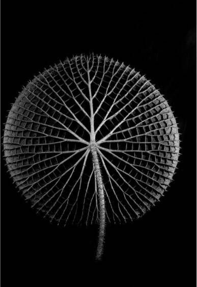 Goossens Schilderij After Midnight 74 x 74 cm