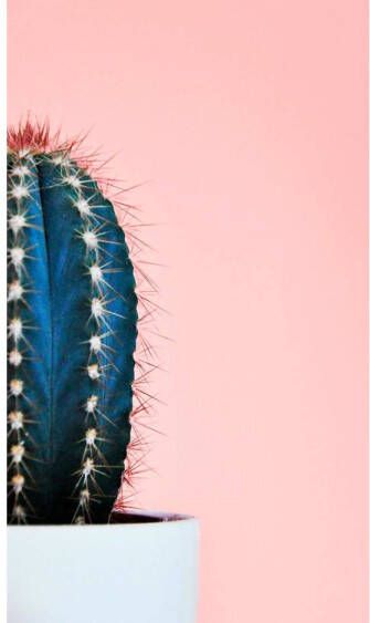 Goossens Schilderij Simple Stories 70 x 118 cm