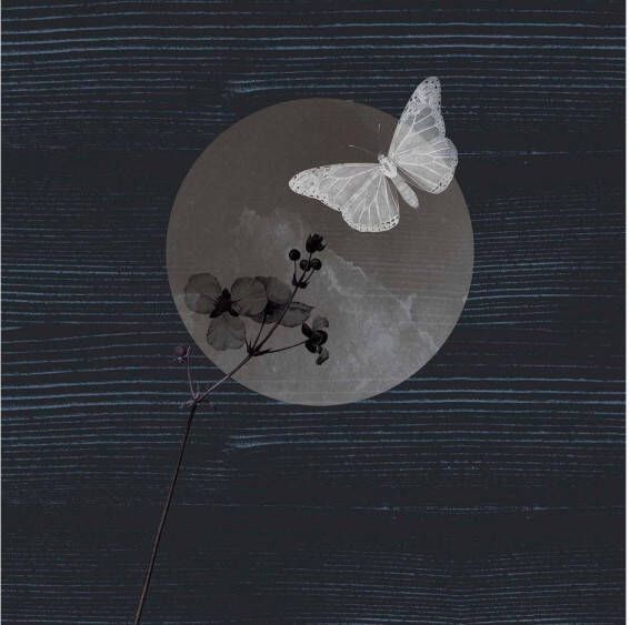 Goossens Schilderij After Midnight 74 x 74 cm