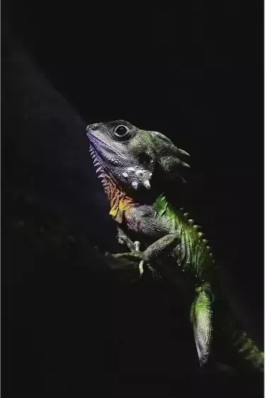 Goossens Schilderij The Colours 98 x 148 cm