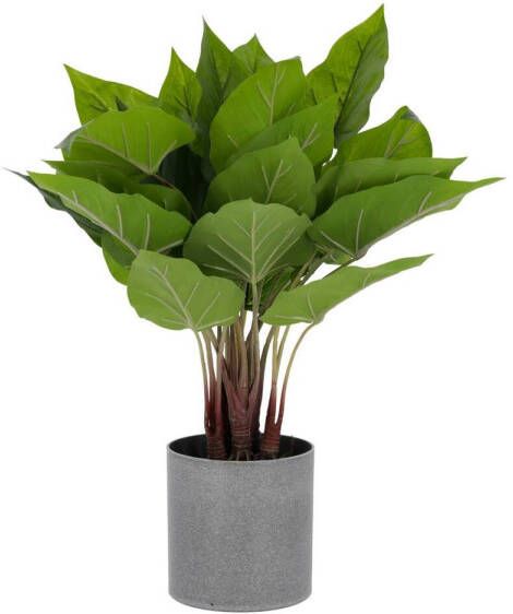 Kave Home Woon Accessoires Anthurium Kunstplant anthurium 50 cm