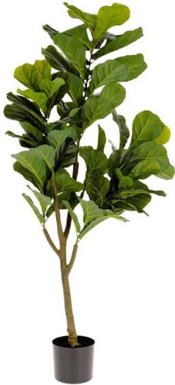 Kave Home Woon Accessoires Ficus Kunstplant ficus150 cm - Foto 2