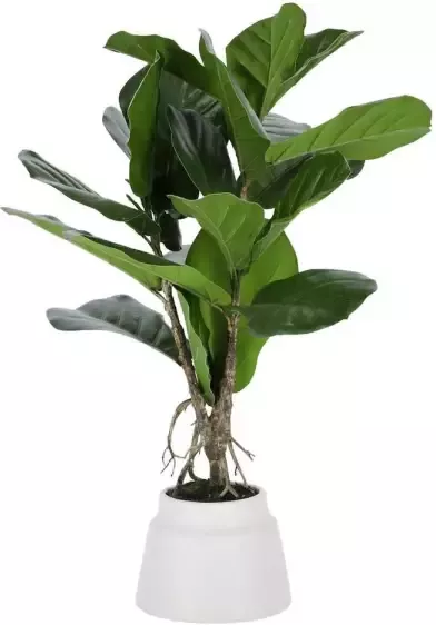 Kave Home Woon Accessoires Lyrata Kunstplant lyrata 60 cm