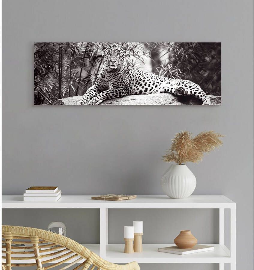Reinders! Artprint luipaard liggend ontspannen gevlekt krachtig - Foto 1