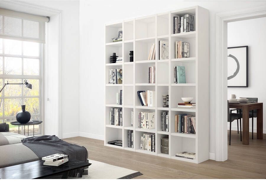 Home24 Boekenkast Emporior IX loftscape